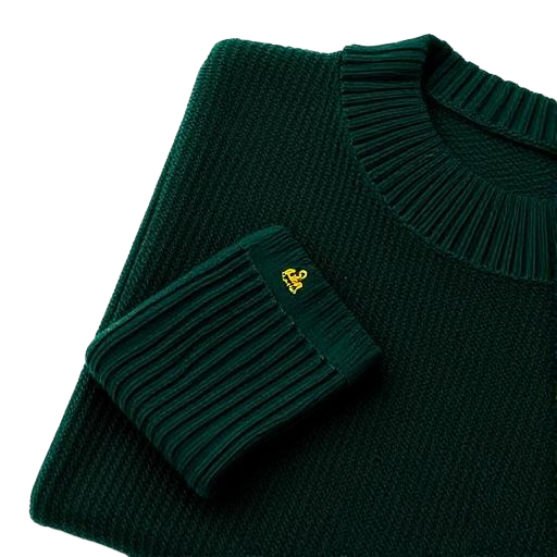 Green sweater garment